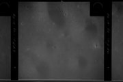 AS14_80_10529
