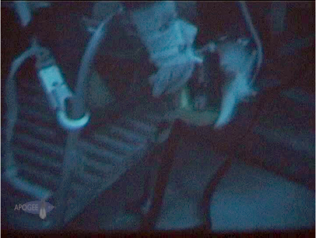 Close-up of
          hook attached to handrail