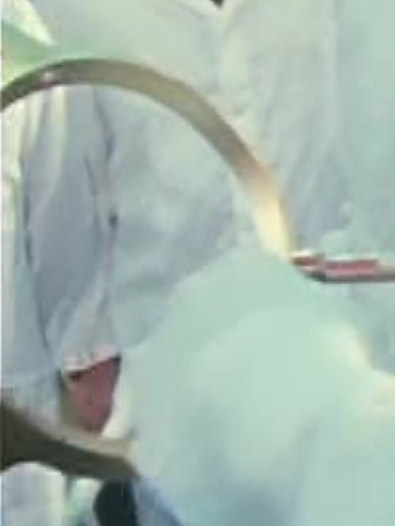 Detail from the
            training fil at 27:10